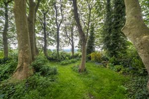 Wooded Aspect- click for photo gallery
